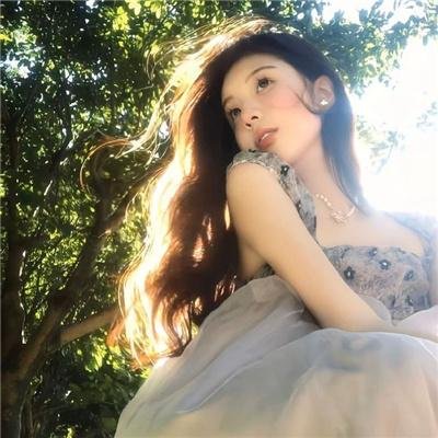 完美伴侣