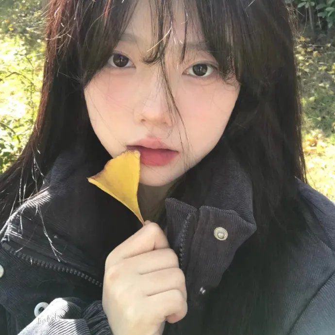 大地的年纪
